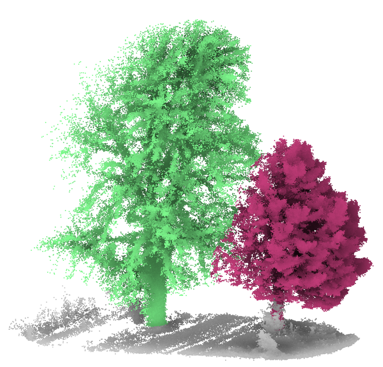 3D Punktwolke eines Waldgebietes nach einer Einzelbaumerkennung