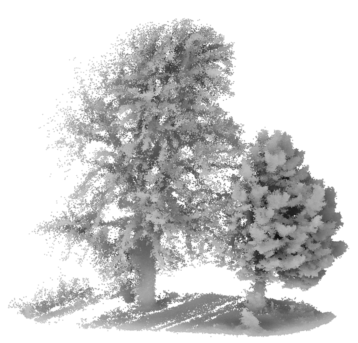 Unbearbeitete 3D Punktwolke eines Waldgebietes